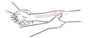 Pressions glissées a 3/5 gestes à apprendre pour un massage réussi - Sandra Foddai Massages Bien-Être