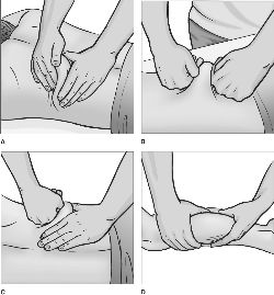 Pétrissage 2/5 gestes à apprendre pour un massage réussi - Sandra Foddai Massages Bien-Être